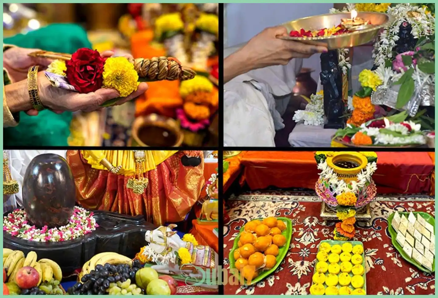 Sage Ved Vyas Puja and Yajna