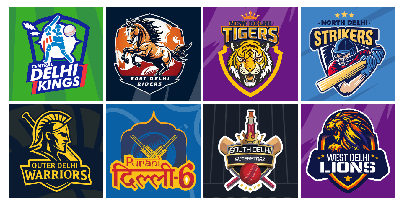 Delhi Premier League 2025 Is On! From Local to Legendary