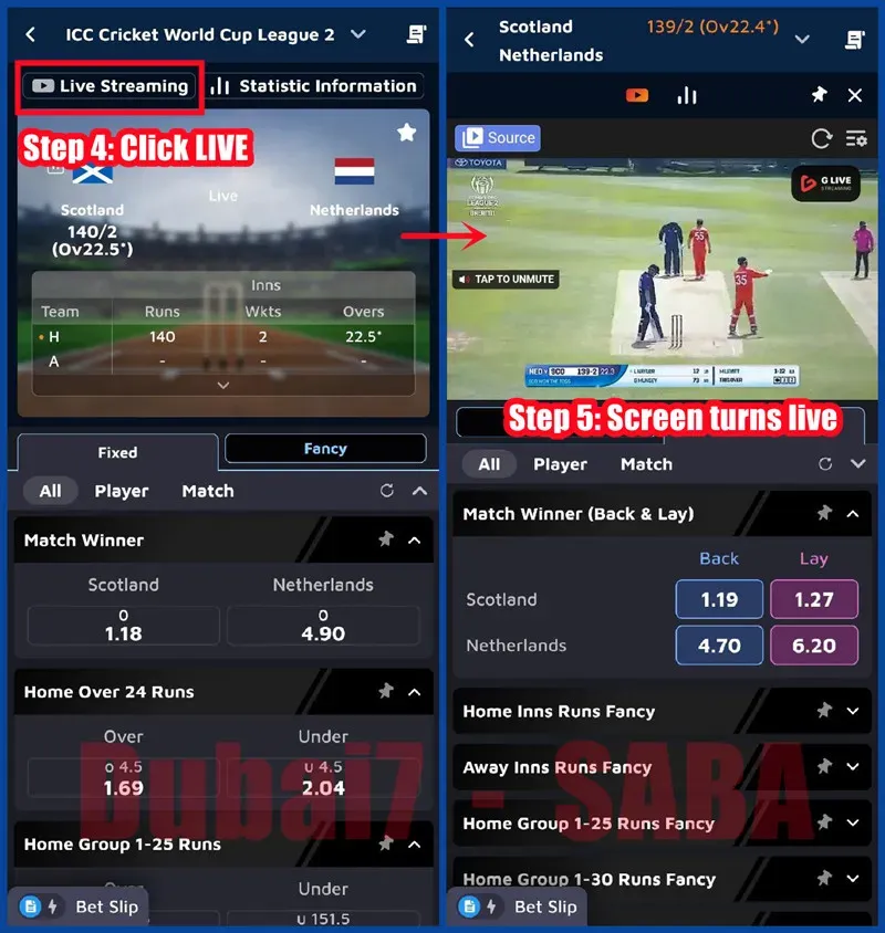 Watch Cricket Live on SABA Sportsbook via Dubai7