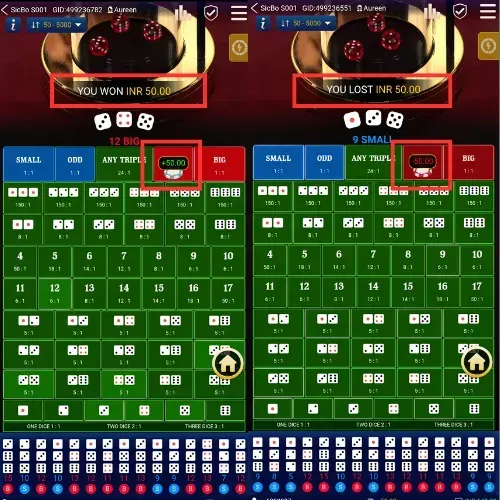 Best Sic Bo Bets for Beginners: Big/Small and Odd/Even