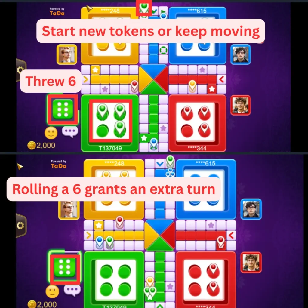 Ludo-throw-6